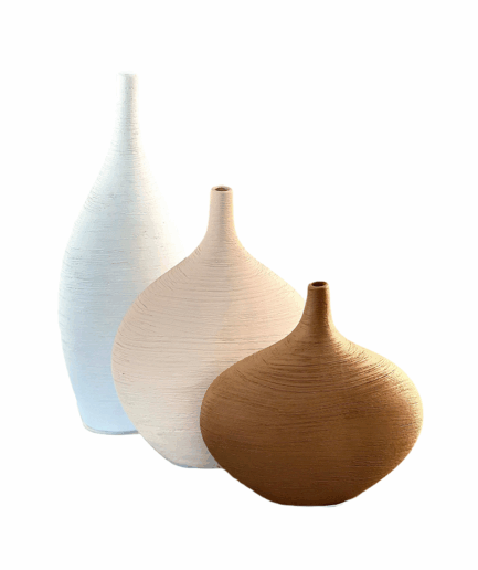 Venulas Set ( X 3 )